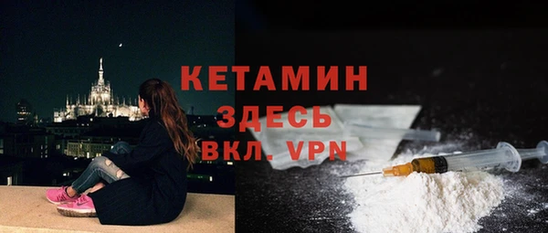 гашик Вяземский