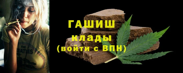 гашик Вяземский