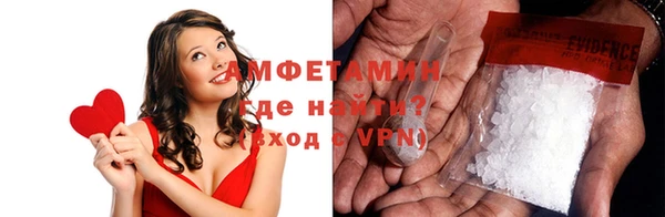 гашик Вяземский