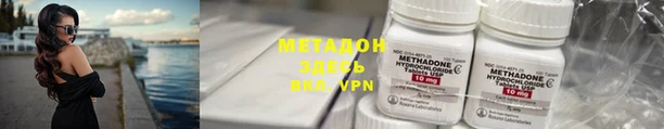 гашик Вяземский