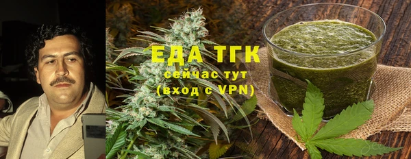 гашик Вяземский