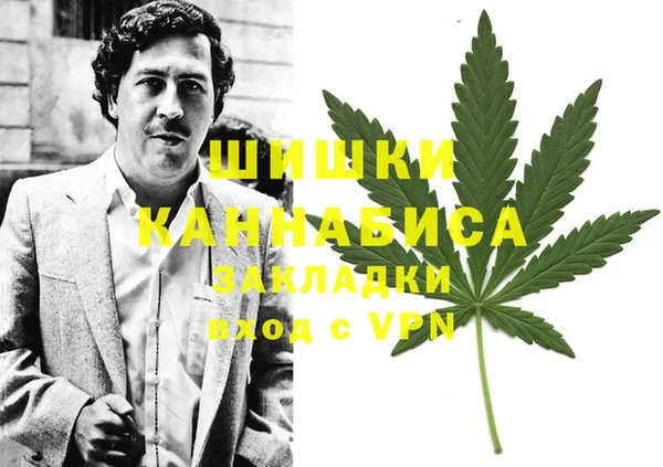 Альфа ПВП Вязьма