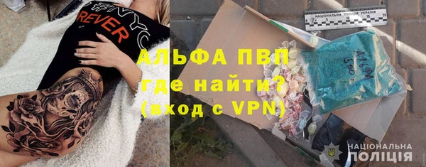 гашик Вяземский