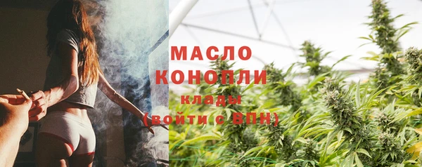 гашик Вяземский