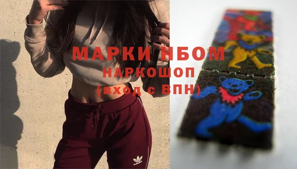 гашик Вяземский