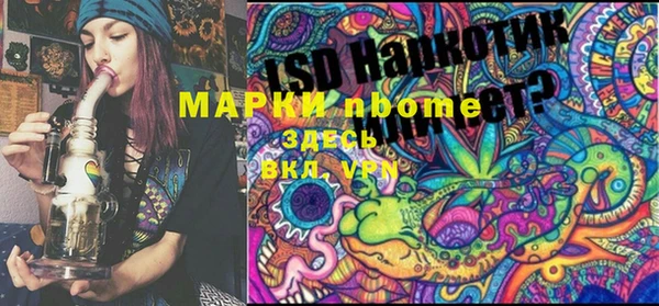 гашик Вяземский